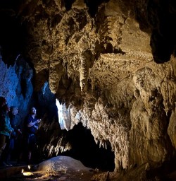 Waitomo Caves guided tour 18FEB25