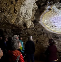 Waitomo Caves limestone 18FEB25