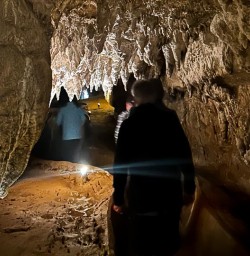 Waitomo Caves tour 25FEB25