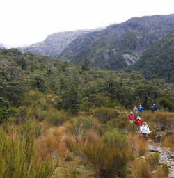 Walking in Arthurs Pass National Park