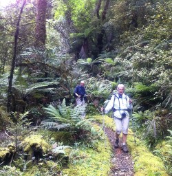 Walking on the Hollyford Track
