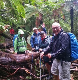 Walking on the Milford Track