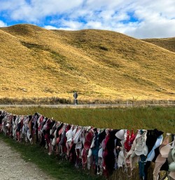 Wanaka bra fence K24MAR25