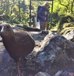 Weka