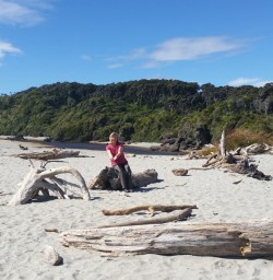 Ship Creek on the West Coast