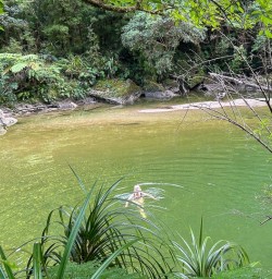 West Coast New Zealand river M17MAR25