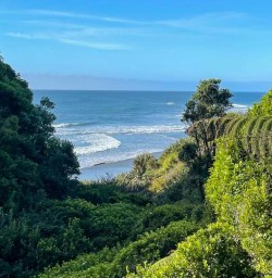 West Coast beach NZ M17MAR25