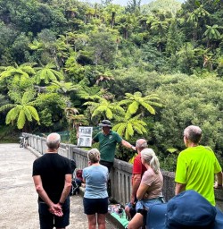 Whanganui 17FEB25