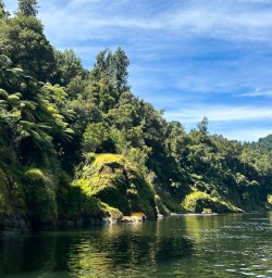 Whanganui River 03FEB25