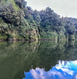 Whanganui River 17FEB25