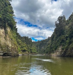 Whanganui River GN03NOV25