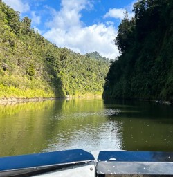 Whanganui River Journey New Zealand 17FEB25