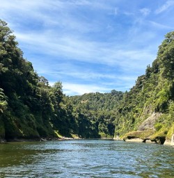 Whanganui River adventure 03FEB25