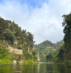 Whanganui River journey GN23FEB26