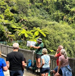 Whanganui tour 17FEB25