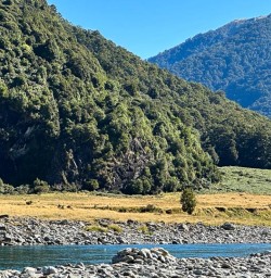 Wilkin River 10FEB26