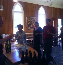 Wine Tasting Queenstown