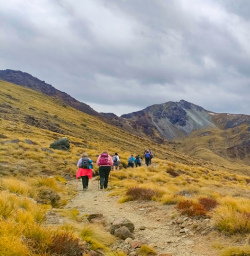 2. Kepler Track heading up
