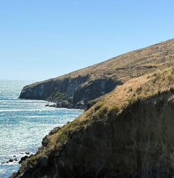 4 Explore Christchurch Godley Head 02 December 2024 1