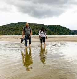 4. Guests paddling Rakiura Track