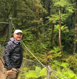 Waterfall on Hollyford Track