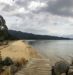 Sandy Bay in Abel Tasman National Park, New Zealand