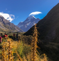 Walking at Aoraki Mount Cook National Park, Canterbury New Zealand
