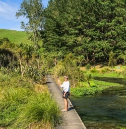 Walking the Te Waihou Walkway, Waikato New Zealand
