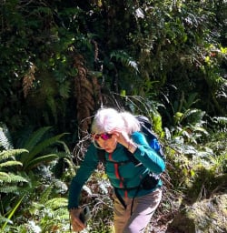 Milford Track group hiking tour 03FEB25