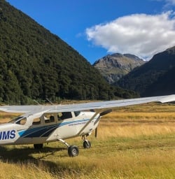 Plane at Siberia Stream, Mount Aspiring National Park, Otago New Zealand