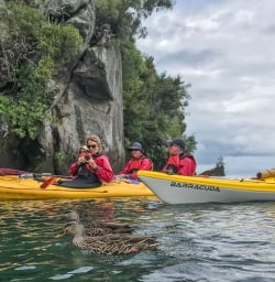 Kayaking at Lake Taupo, Waikato New Zealand