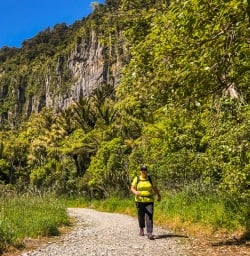 Pororari river track, Paparoa National Park West Coast New Zealand