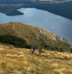 8 Bushline Hut Hike 17FEB25