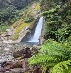 3 Milford Track Waterfall 09MAR25