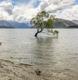 Happy lady at Lake Wanaka, Otago New Zealand
