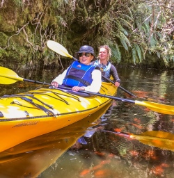 Kayaking tour at Okarito Lagoon, West Coast New Zealand