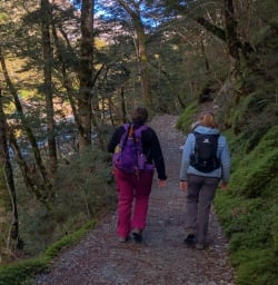 Walking along Routeburn track river, Otago New Zealand