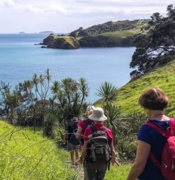 Walking at Waiheke Island Auckland New Zealand