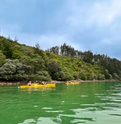 Cathedral Cove kayaking tours 