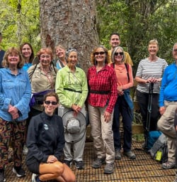 1 Group Hike of Kauri Grove March2025