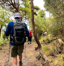 1 Hikers on Rakiura Track walk to Lee Bay
