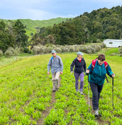 Matahura Valley adventure tour