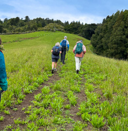 Matahuru Valley hiking tour 