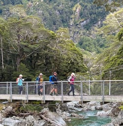 New Zealand walking tours 