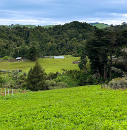 Our guests exploring Matahuru Valley 