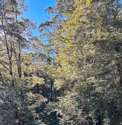 Routeburn Track adventure and walking tours 