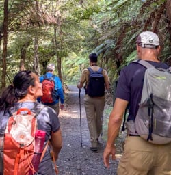 1 Small Group Hiking Kauri Grove March2025