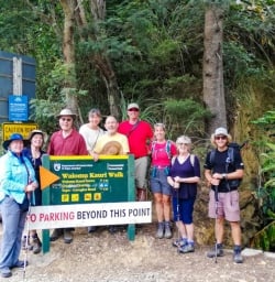 Beginning the Waiomu Kauri Grove track