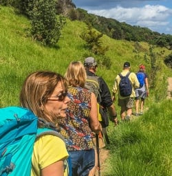 Walking Tour at Waiheke Island, Auckland New Zealand