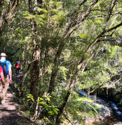 1. Exploring Whitianga